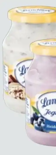 Edeka Xpress Landliebe Joghurt Angebot