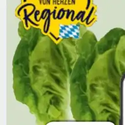 Edeka Xpress Mini-Romanasalat Angebot