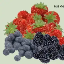 Edeka Xpress Erdbeeren Angebot