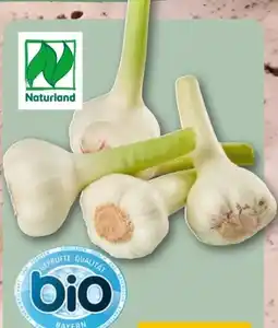 REWE Center Bio Knoblauch Angebot