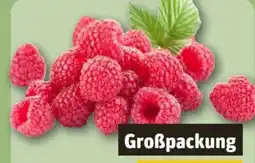 REWE Center Himbeeren Angebot