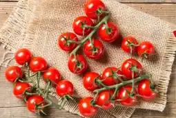 REWE Center Rewe Feine Welt Mini Cherry Rispentomaten Süße Versuchung Angebot