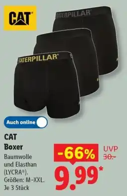 Lidl CAT Boxer Angebot