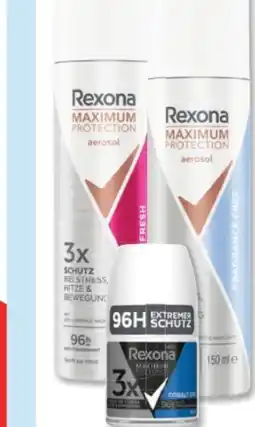Budni Rexona Maximum Protection Deospray Angebot