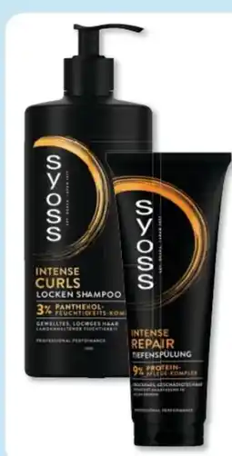 Budni Syoss Shampoo Angebot