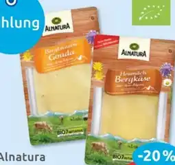 Budni Alnatura Geriebener Käse Angebot