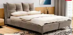 porta Doppelbett Angebot