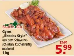 Multi Markt BauernGut Gyros „Rhodos Style“ Angebot