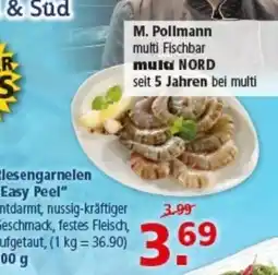 Multi Markt M. Pollmann multi Fischbar multi NORD Angebot
