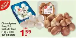 Multi Markt Champignons Angebot