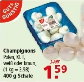 Multi Markt Champignons Polen Angebot