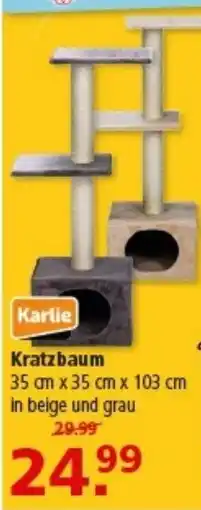 Multi Markt Karlie Kratzbaum Angebot