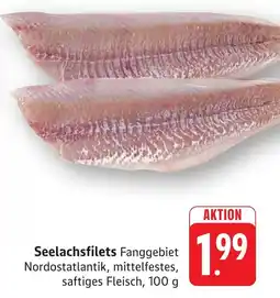SBK Seelachsfilets Angebot