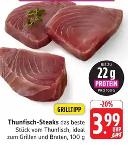 SBK Thunfisch-Steaks Angebot
