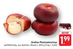 SBK Ondine Plattnektarinen Angebot