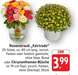 Schmidt's Märkte Rosenstrauß „Fairtrade“ oder Chrysanthemen Büsche Angebot