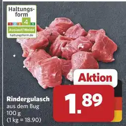Combi Rindergulasch Angebot