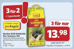 Combi Profagus buchen grill-holzkohle der sommer-hit Angebot