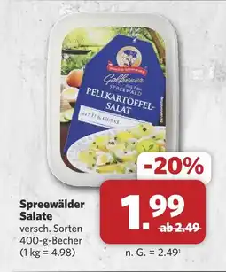 Combi Spreewälder salate Angebot