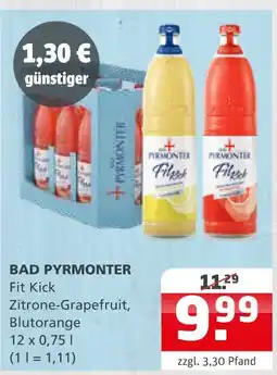 Getränke Quelle Bad pyrmonter fit kick Angebot