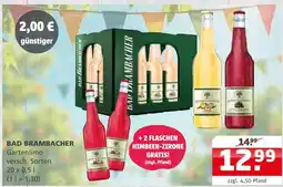 Getränke Quelle Bad brambacher gartenlimo Angebot