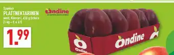 Marktkauf Ondine plattnektarinen Angebot