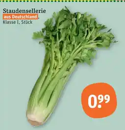 tegut Staudensellerie Angebot