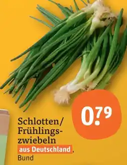 tegut Schlotten/frühlingszwiebeln Angebot