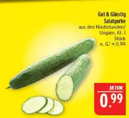 Marktkauf Gut & günstig salatgurke Angebot