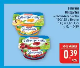 Marktkauf Ehrmann obstgarten Angebot