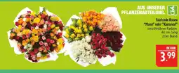 Marktkauf Fairtrade rosen mond Angebot