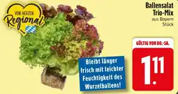 Edeka Ballensalat Trio-Mix Angebot