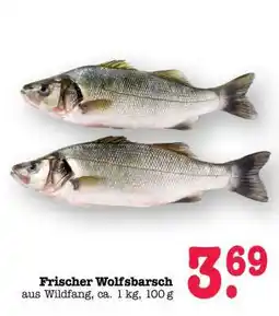 Scheck-in-Center Frischer Wolfsbarsch Angebot