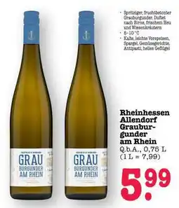 Scheck-in-Center Rheinhessen Allendorf Grauburgunder am Rhein Angebot