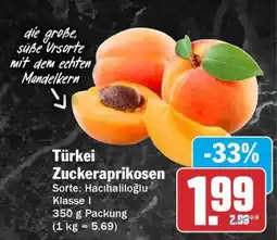 HIT Türkei Zuckeraprikosen Angebot