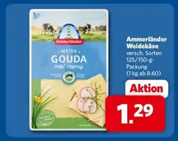Combi Ammerländer Weidekäse Angebot