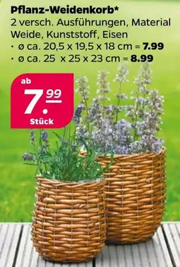 Netto Pflanz-Weidenkorb* Angebot