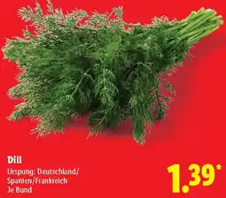 Lidl Dill Angebot