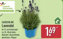Aldi Nord GARDENLINE Lavendel Angebot