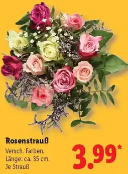 Lidl Rosenstrauß Angebot