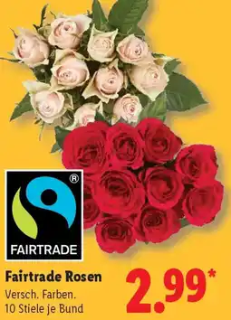 Lidl Fairtrade Rosen Angebot
