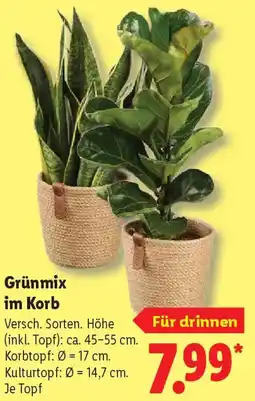 Lidl Grünmix im Korb Angebot