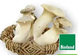 Scheck-in-Center Unsere Heimat Bio Kräuterseitlinge Angebot