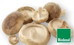 Scheck-in-Center Unsere Heimat Bio Shiitake Angebot