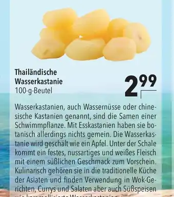 CITTI Markt Thailändische Wasserkastanie Angebot