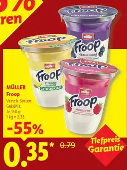 Lidl MÜLLER Froop Angebot