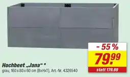 toom Baumarkt Hochbeet „Jana“ Angebot