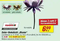 toom Baumarkt Solar-Dekolicht „Blume“ Angebot