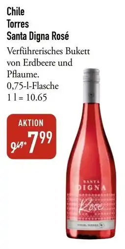 Galeria Markthalle Torres Santa Digna Rosé Angebot
