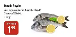 Galeria Markthalle Dorade Royale Angebot